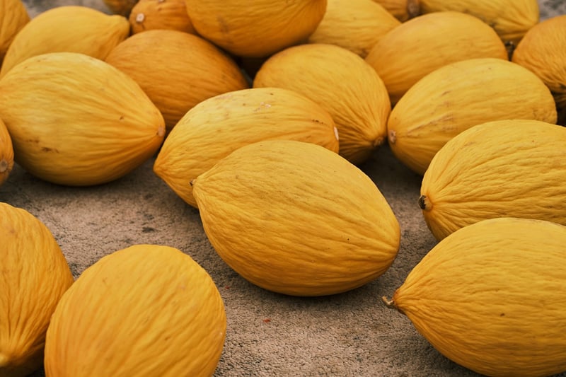 Seasonal Produce Guide